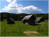 Planina Tamar